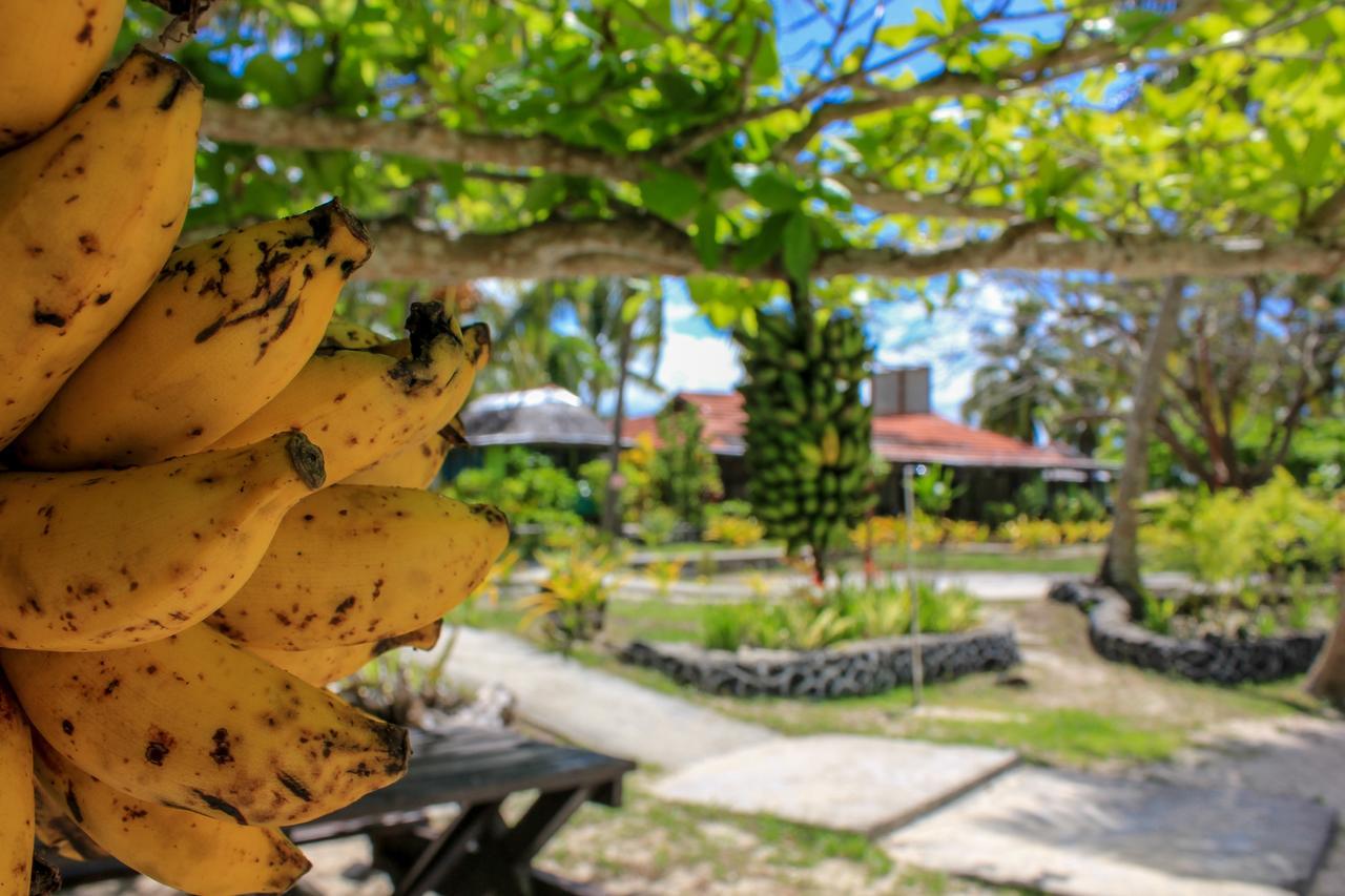 Vaimoana Seaside Lodge Savai'i Island Екстериор снимка
